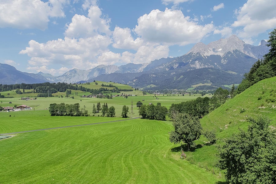 familienbauernhof-saalfelden-sommerurlaub-0052