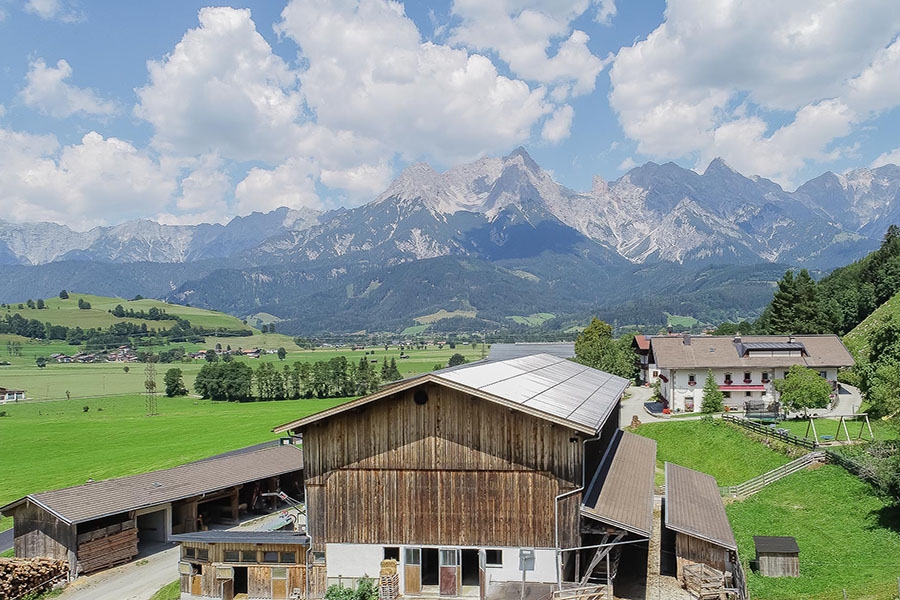 familienbauernhof-saalfelden-sommerurlaub-0058