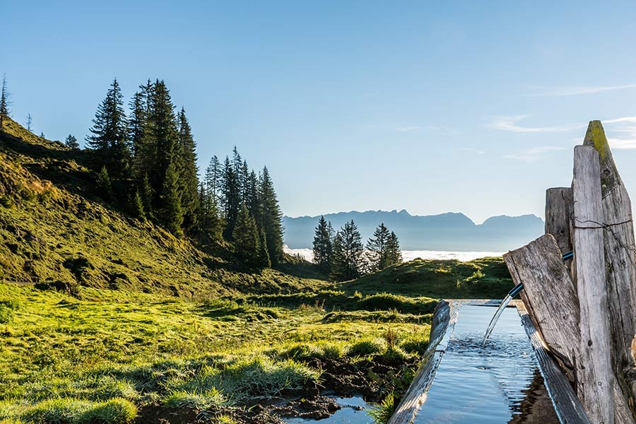 Familienbauernhof Urlaub Salzburg000